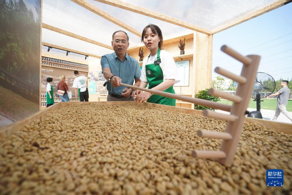 捕鱼游戏电脑版在线玩